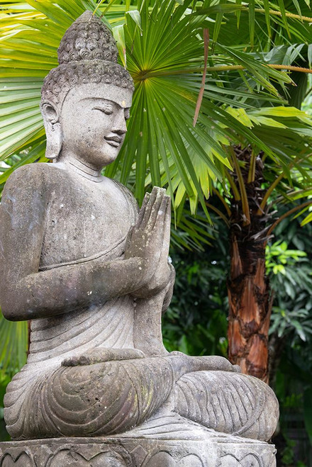 Indonesia-Bali. Buddha statue with green palms. Poster Print - Cindy Miller Hopkins