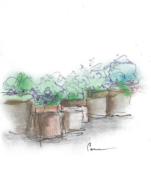 Floral Container Arrangement Poster Print - Lisa Carroccio