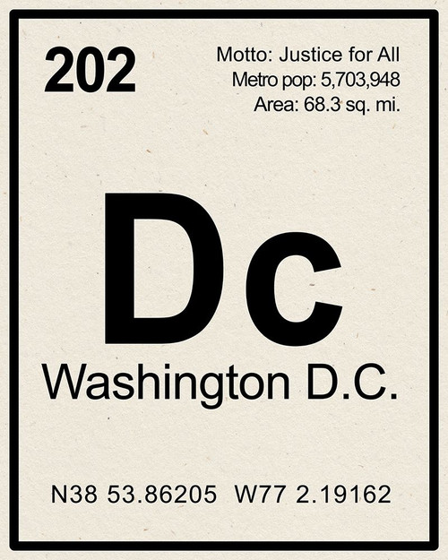 Breaking Washington DC Poster Print - ArtLab GI