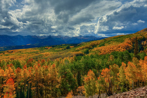 Autumn Illumination Poster Print - Bill Sherrell