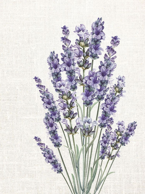 Linen Lavender 2 Poster Print - Kimberly Allen