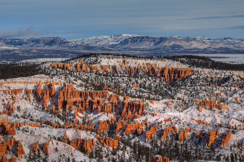 After The Storm Poster Print - Bill Sherrell