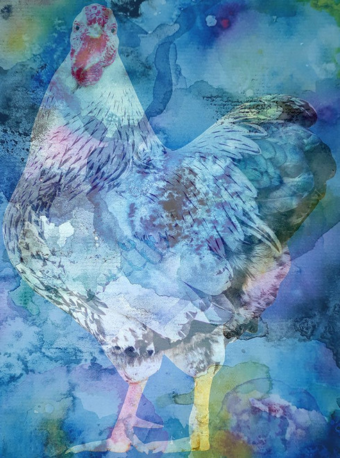Rooster Poster Print - Jamie Phillip