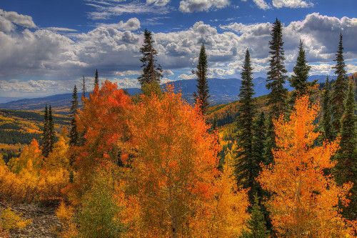 Autumn Fire At Ohio Pass Poster Print - Bill Sherrell