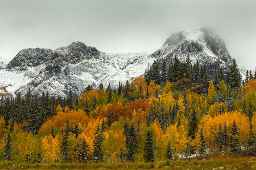 A Rocky Mountain Autumn Poster Print - Bill Sherrell