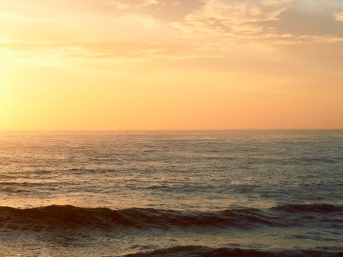 Ocean 14 Poster Print - Rachel Lee