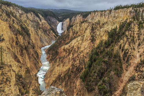 Yellowstone Grand Canyon - Lower Falls Poster Print - Online Galloimages