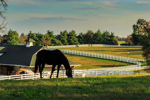 Sunset On The Farm Poster Print - Online Galloimages