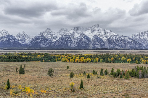 Teton Fall Colors Poster Print - Online Galloimages