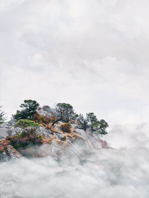 Mountain View 75 Poster Print - Rachel Lee