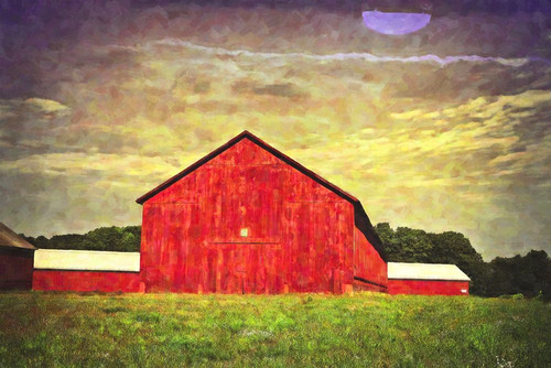 Barn #54 Poster Print - GST