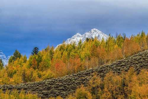 Mountain Fall Color Poster Print - Online Galloimages