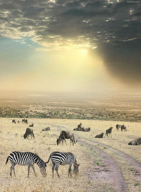 Once Upon a Time in Kenya - 6 Poster Print - Ben Heine