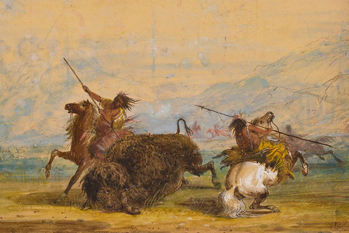 Crow Indians attacking a buffalo with the lance Poster Print - Alfred Jacob Miller