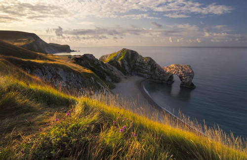 - DREAMING GARDEN - Poster Print - Justus Steinfeldt