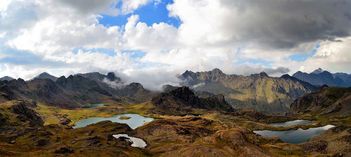 Mountain View 65 Poster Print - Rachel Lee