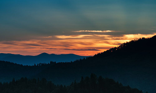 Mountain View 62 Poster Print - Rachel Lee