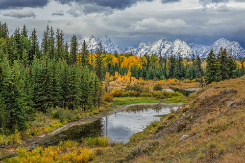 Gtnp Fall Color With Mountains Poster Print - Online Galloimages