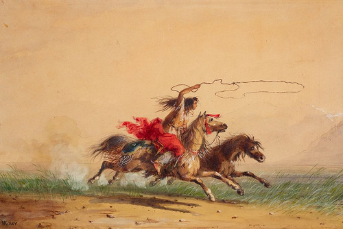 Lassoing Wild Horses Poster Print - Alfred Jacob Miller