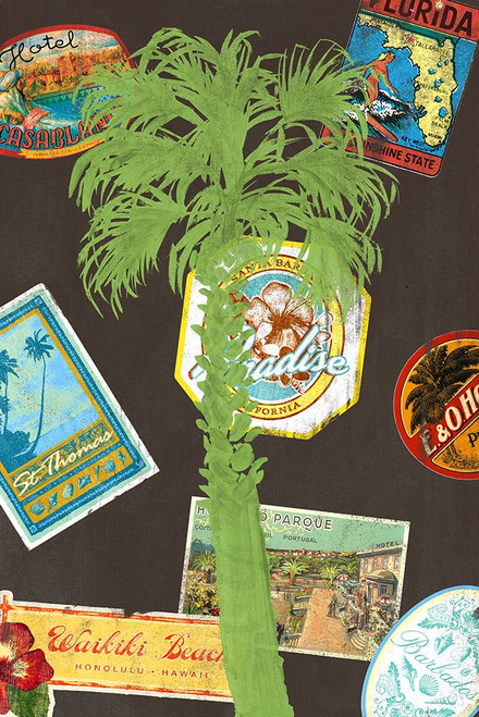 Palm 2 Poster Print - Cory Steffen