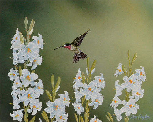 In the Garden Poster Print - Don Engler
