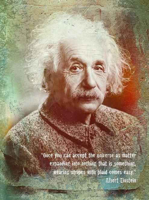 Einstein Plaid Humorous Poster Print - GST
