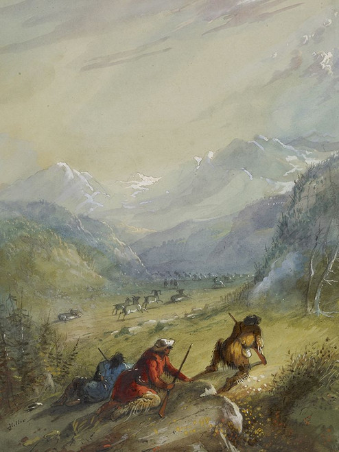 Mountain Sheep Poster Print - Alfred Jacob Miller