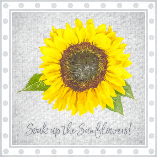 Floras Sillius Soak up the Sunflowers Poster Print - GST
