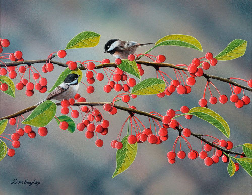 Chickadees Poster Print - Don Engler