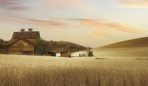 Abandoned in the Field of Wheat I Poster Print - Don Schwartz