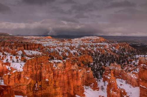Storm Over Bryce Canyon Poster Print - Bill Sherrell