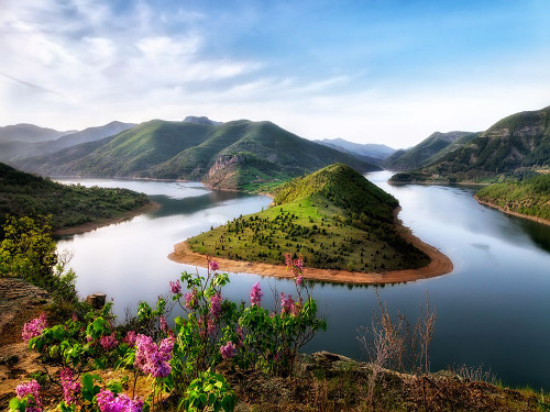 Mountain View 46 Poster Print - Rachel Lee