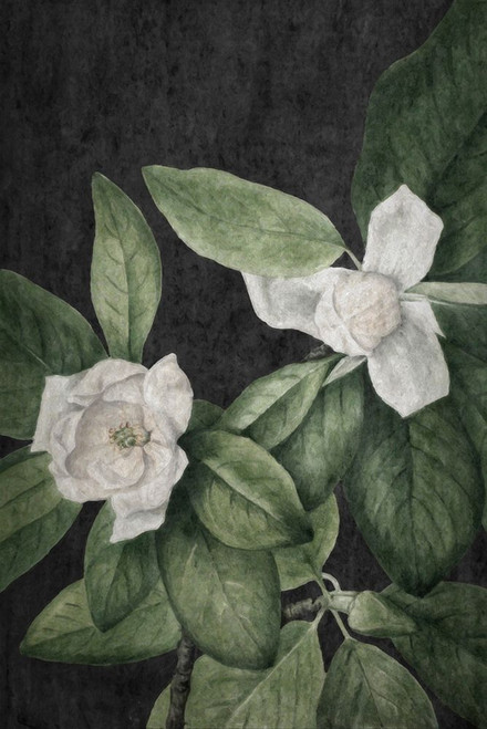 Botanical Dream 3 Poster Print - GST
