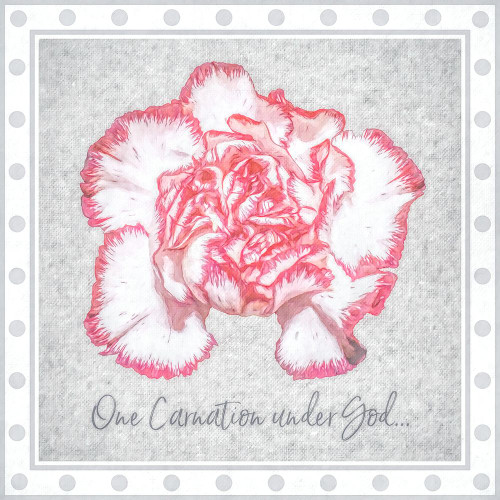 Floras Sillius One Carnation Under God Poster Print - GST