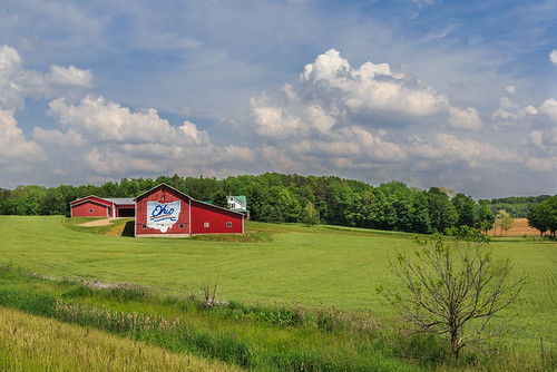 Ohio Farm Poster Print - Online Galloimages