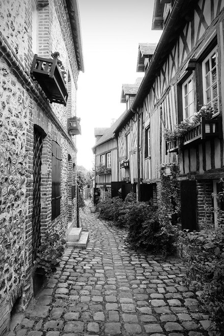Hon Fleur Street in Black and White Poster Print - GST