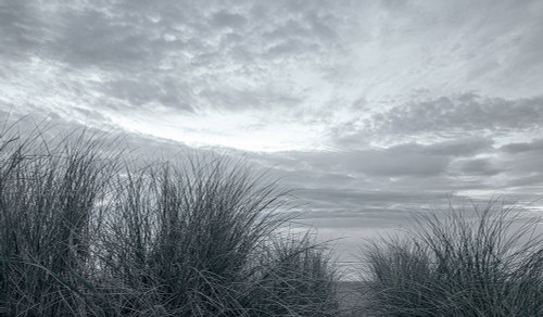 The Dunes at Manzanita Poster Print - Don Schwartz