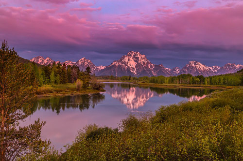 Magenta Sunrise  Oxbow Bend Poster Print - Online Galloimages