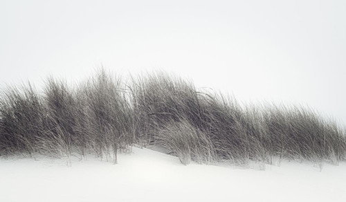Autumn Dunes Poster Print - Don Schwartz