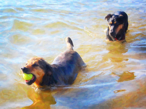 MY Ball Poster Print - GST MY Ball Poster Print - GST