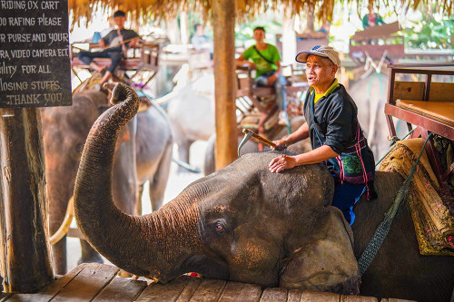 Thailand - 347 Poster Print - Ben Heine