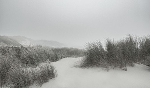 Winding Through the Dunes Poster Print - Don Schwartz