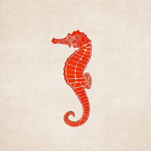 Sea Horse Poster Print - Emel Tunaboylu