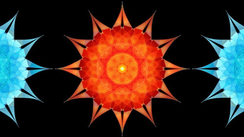 Starfish-side Poster Print - David Manlove