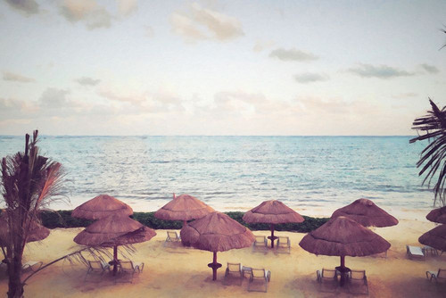 Ocean Tropics Poster Print - GST