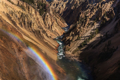 Brink of Lower Falls YNP Poster Print - Online Galloimages