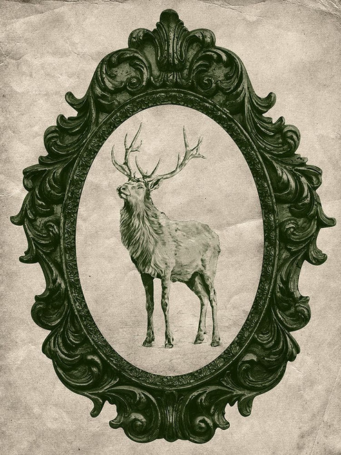 Framed Elk in Evergreen Poster Print - Studio SEA