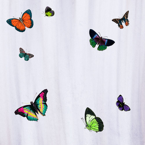 Flutter A Poster Print - ArtLab GI