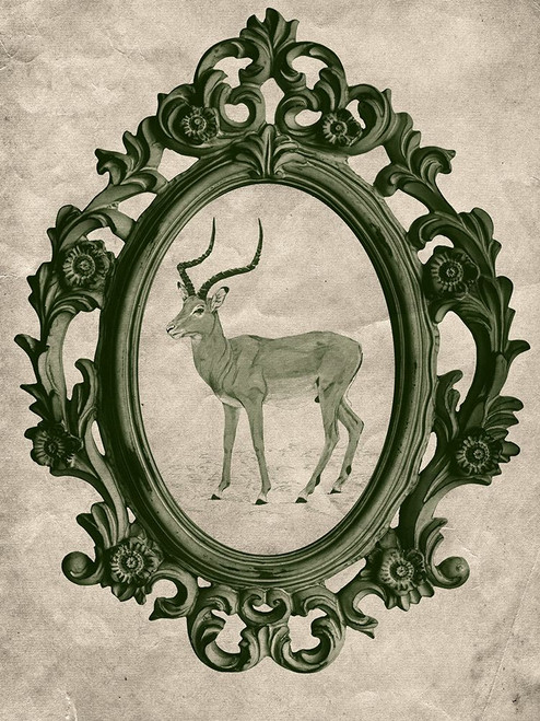 Framed Gazelle in Evergreen Poster Print - Studio SEA