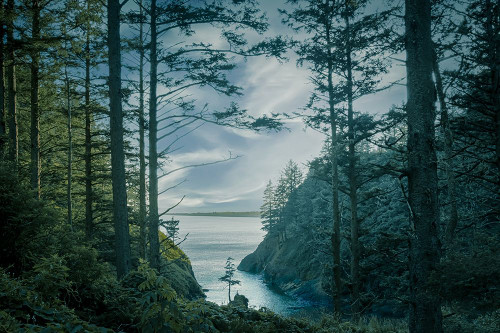 Through the Cove Poster Print - Don Schwartz